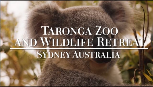 Taronga Wildlife Retreat Sydney Australia