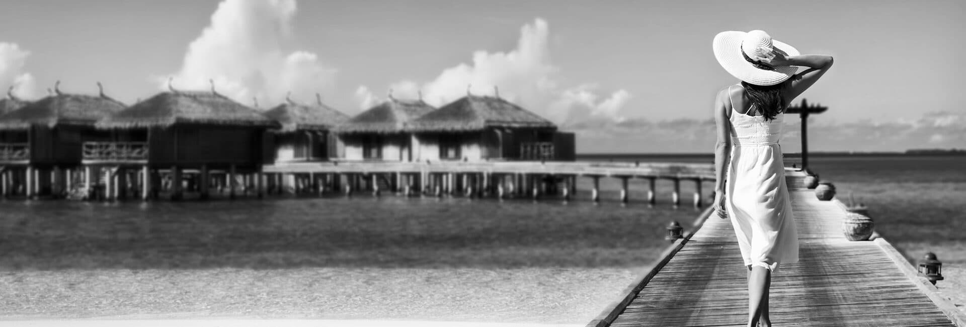 Terms and Conditions